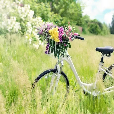 For 2 Prs By The Sea, Ustronie Morskie